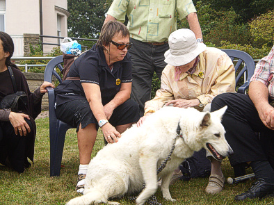 Gartenfest 2012: Hunde