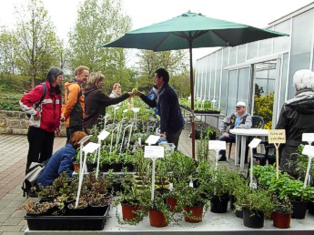 Tag der offenen Tür 2013: Pflanzenverkauf