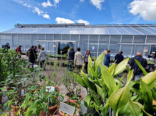 Vor dem Gewächshaus bearb