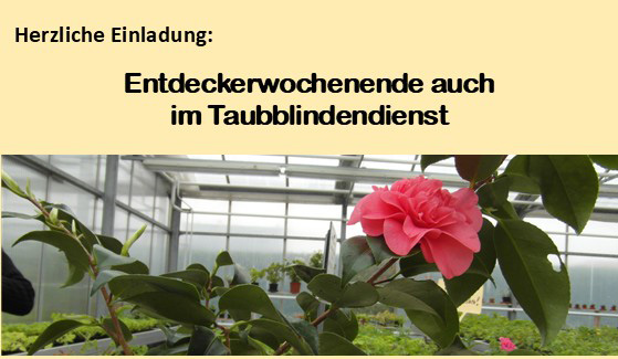 Entdeckerwochenende